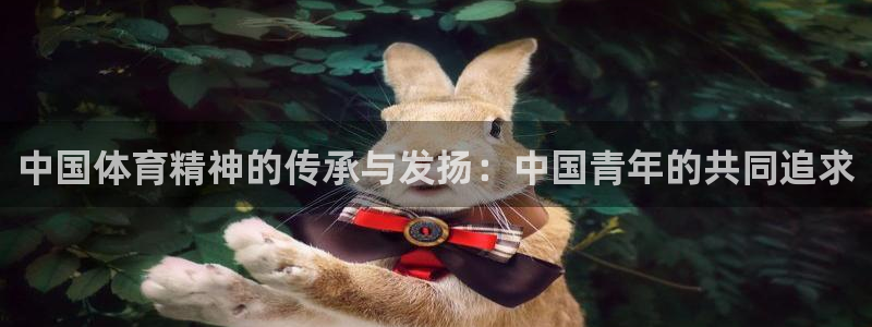 中国体育精神的传承与发扬：中国青年的共同追求