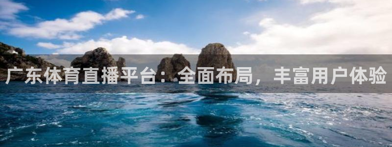 广东体育直播平台：全面布局，丰富用户体验