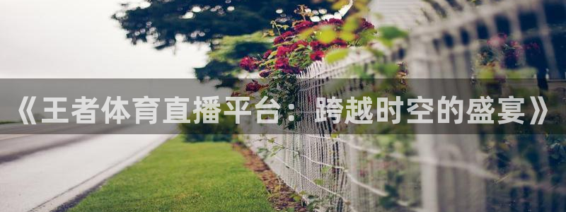 《王者体育直播平台：跨越时空的盛宴》