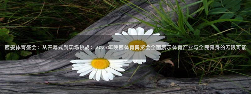 西安体育盛会：从开幕式到现场挑战：2023年陕西体育博览会全面展示体育产业与全民健身的无限可能