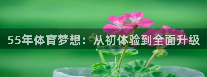 55年体育梦想：从初体验到全面升级