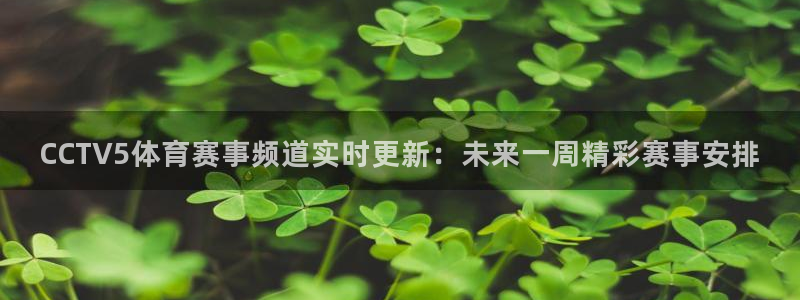 CCTV5体育赛事频道实时更新：未来一周精彩赛事安排