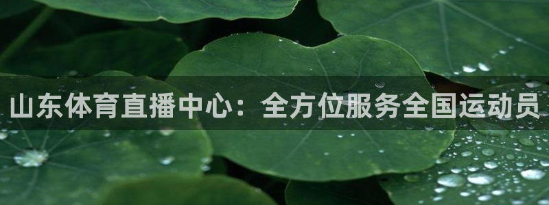 山东体育直播中心：全方位服务全国运动员